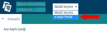 e-Arşiv Fatura Modül Seçimi